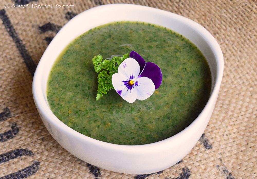 Vegan and Gluten Free Stinging Nettle Soup.