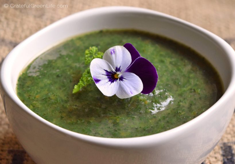 wild-nettle-soup