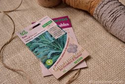 sowing-veg-for-late-harvest