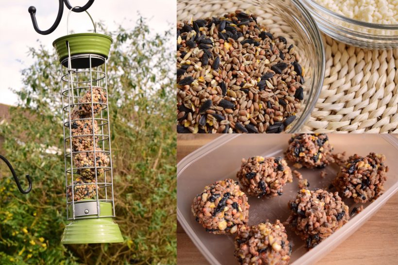 diy-fat-balls-for-birds