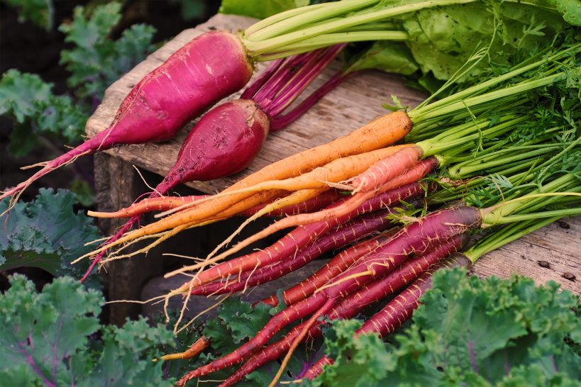 crops-to-sow-in-july