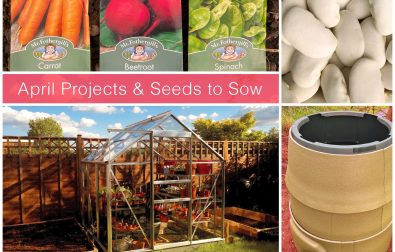 gardening-jobs-for-april